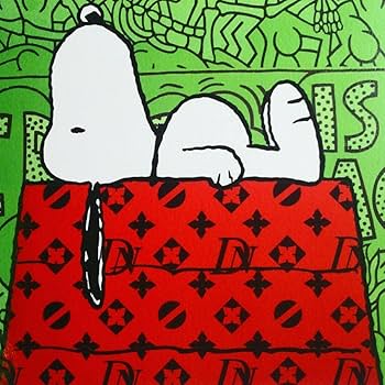 Amazon.co.jp: Death Nyc スヌーピー キース ヘリング アートポスター