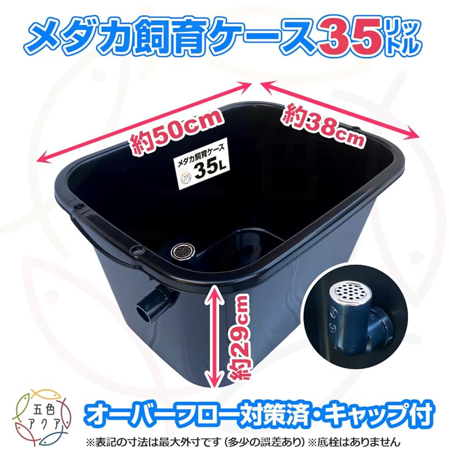 新仕様】メダカ飼育ケース 75㍑深緑x2個 オーバーフロー対策済 金魚