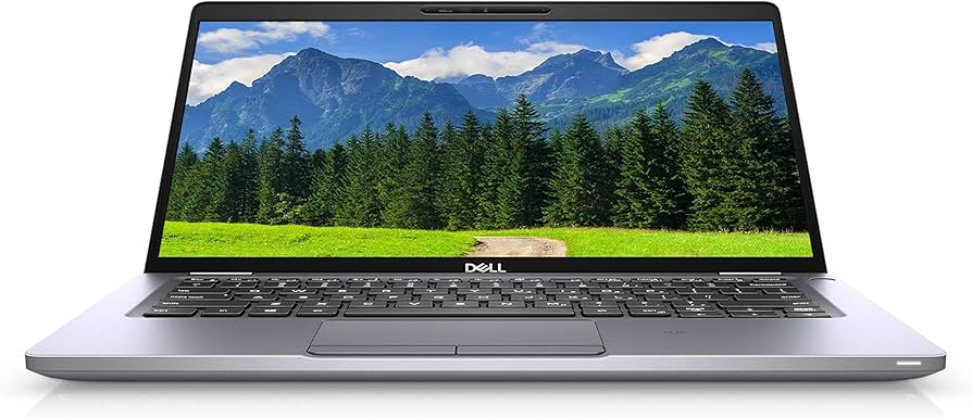 Amazon.com: Dell Latitude 5310 13.3