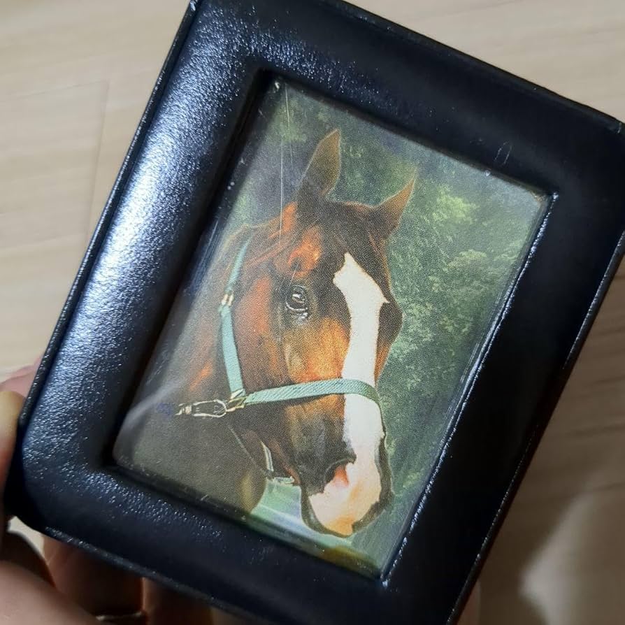 Amazon.co.jp: サイレンススズカ 腕時計 メモリアルウォッチ