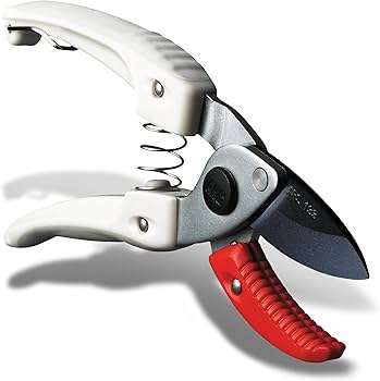 71btFaHtQEL._AC_UF350,