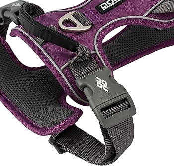 Amazon | [ ドッグコペンハーゲン ] DOG Copenhagen コンフォート