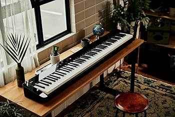 カシオ カシオ Privia PX-720 電子ピアノ ブラック カシオ カシオ