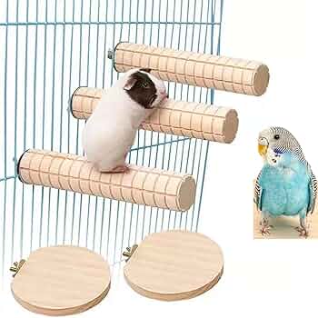 Amazon.co.jp: かじり木 止まり木 ハムスター かじり木 コーン型