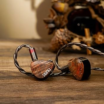 Amazon.co.jp: HiFiGo DUNU x Gizaudio Da Vinci IEM 2DD+4BA
