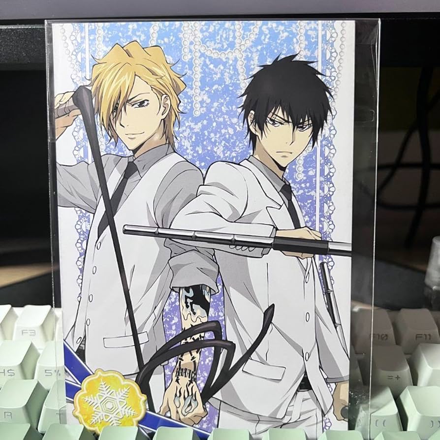 家庭教師ヒットマンREBORN! 雲雀恭弥＆ディーノ カード TVアニメ『家庭