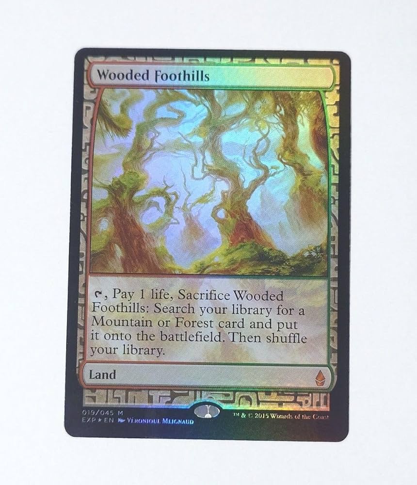 樹木茂る山麓/Wooded Foothills 英語 4枚 樹木茂る山麓/Wooded