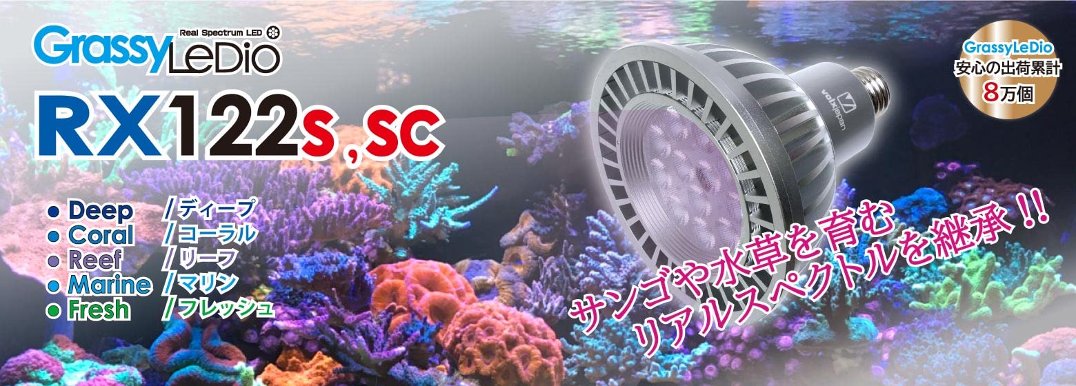 グラッシーレディオ コーラルブルー サンゴ 海水 LED グラッシー
