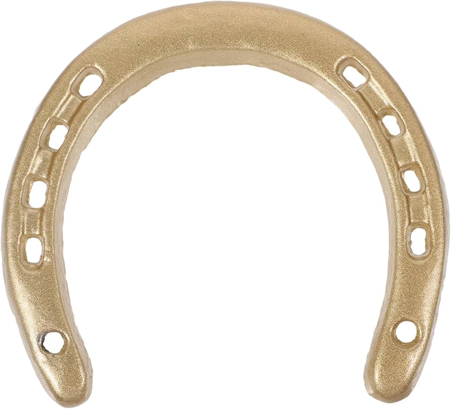 Amazon.co.jp: Kichvoe 鋳鉄製 馬蹄 壁掛け装飾 幸運を呼ぶ