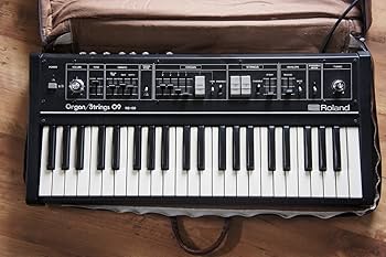 Amazon.co.jp: Roland Organ/Strings RS-09 Older Version ローランド