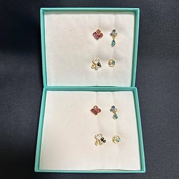 Amazon.co.jp: 藤井フミヤ ライブグッズ ツアーグッズ FFピアス2箱