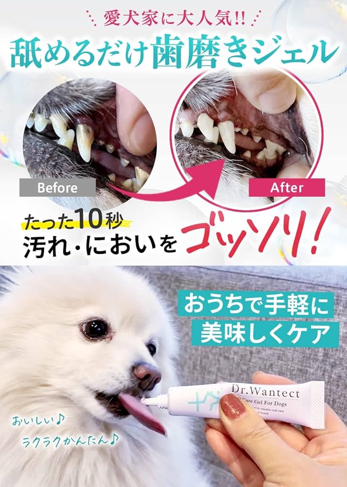 注文 Dr.デンタルワン2本セット Dr. Dental Wan デンタルケア 2本