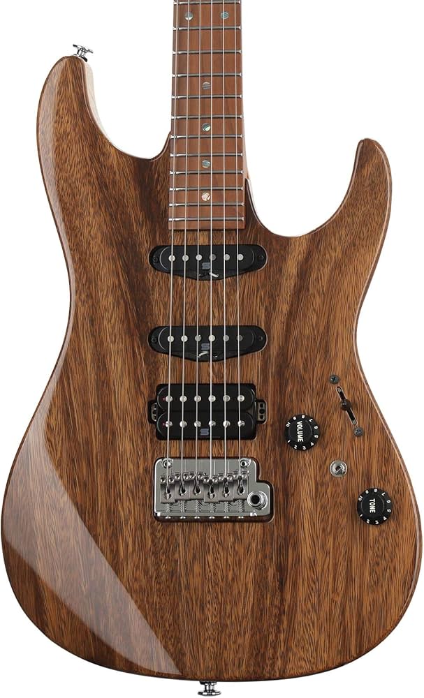 Amazon | Ibanez Tom Quayle AZ Signature Model Natural トム