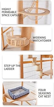 71dwXFoe+RL._AC_UF350,