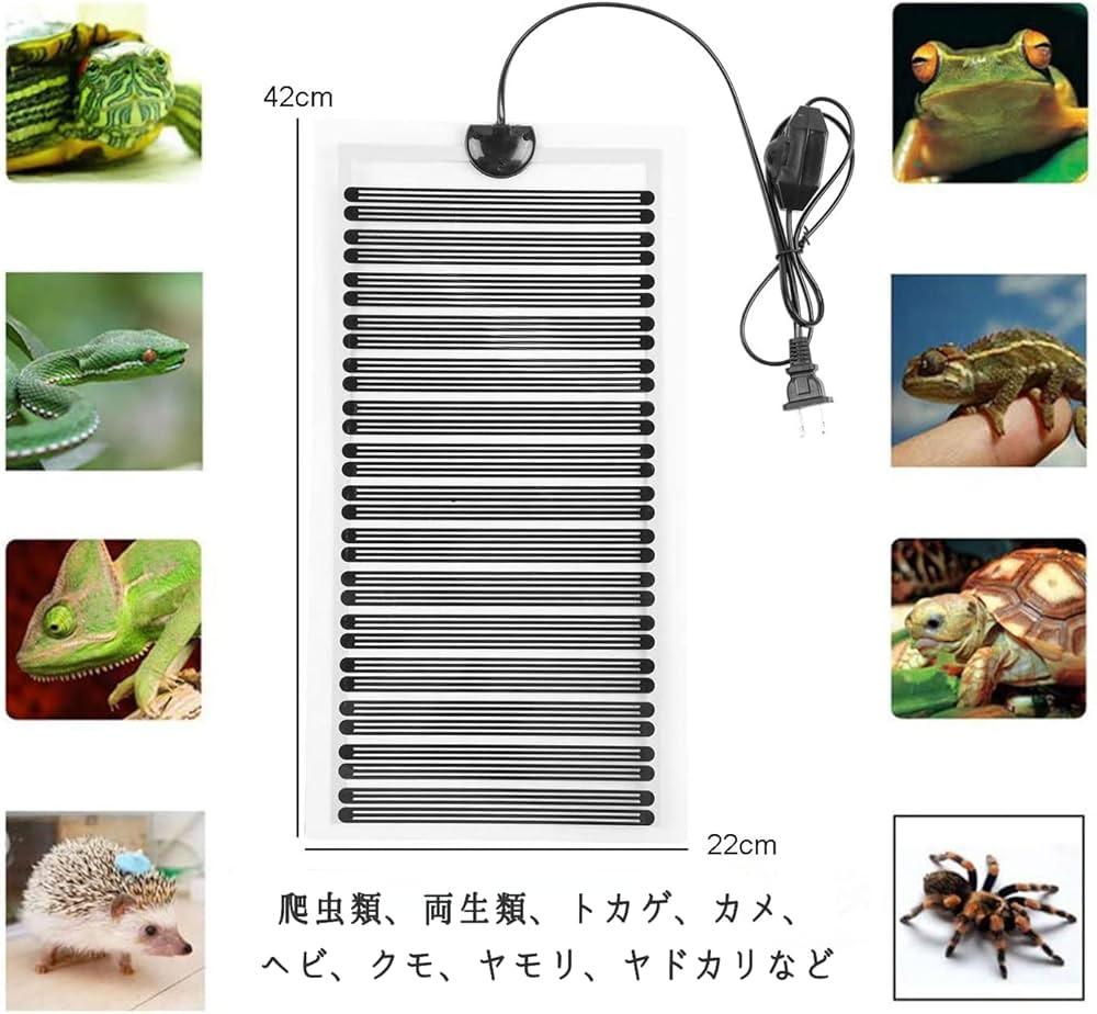 71e-JziEqzL._AC_UF1000,