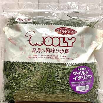 71e8p5UT4ML._AC_UF350,