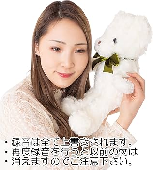 Amazon.co.jp: Active Island テディベア 3分録音 ぬいぐるみ a578