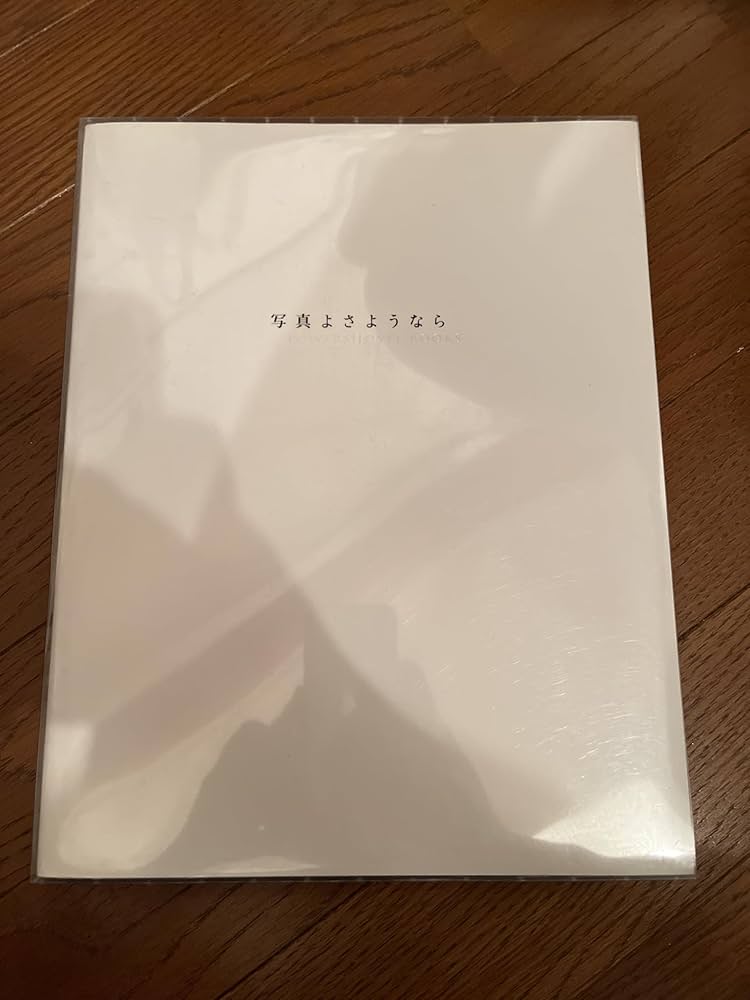 森山大道「provoke no3 / 写真よさようなら」ゼラチンシルバープリント