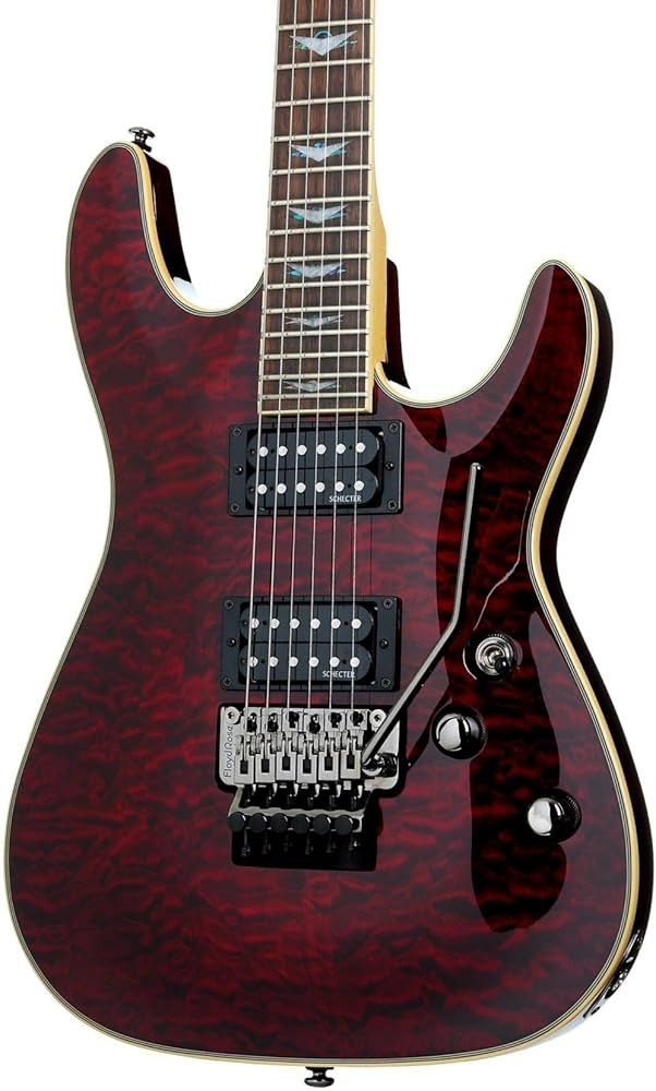 Amazon | Schecter シェクター Omen Extreme-FR エレキギター (Black