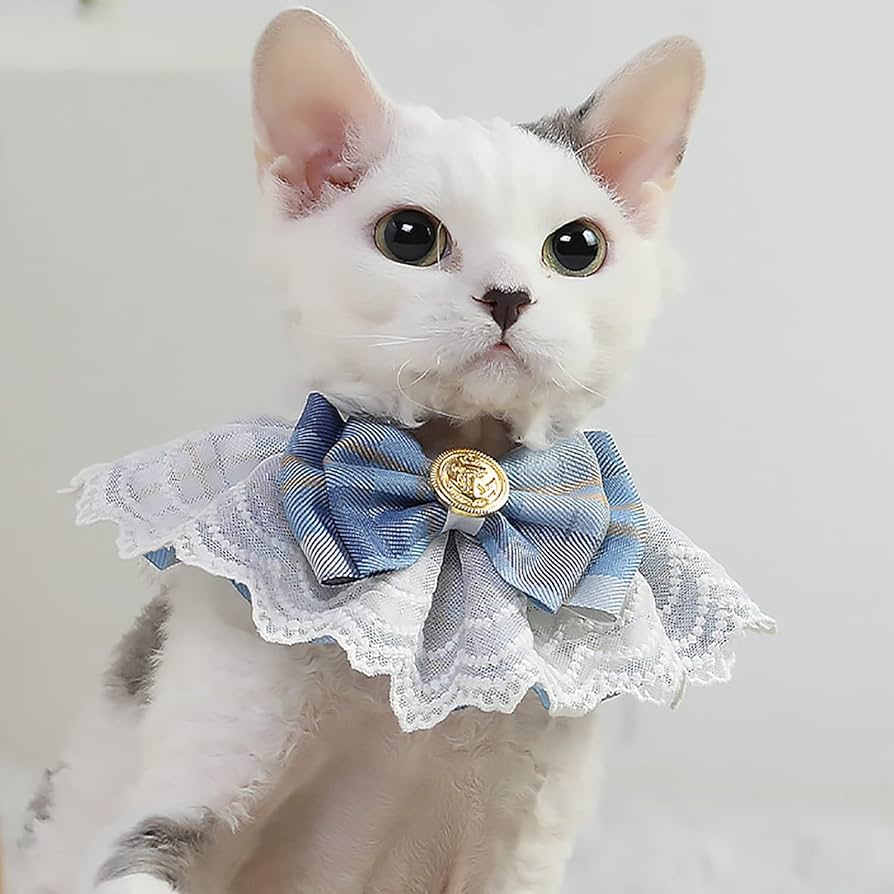 29番 犬用首輪 猫用首輪 小動物用首輪 よだれかけ