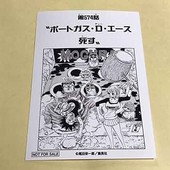 Amazon.co.jp: ワンピース 1000LOGS 扉絵ブロマイド 麦わらストア