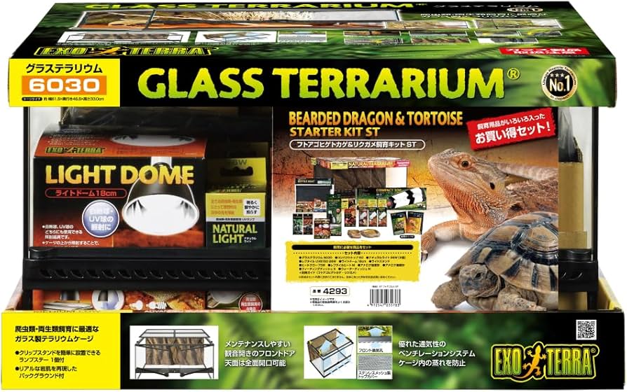 引き取り限定爬虫類飼育セット