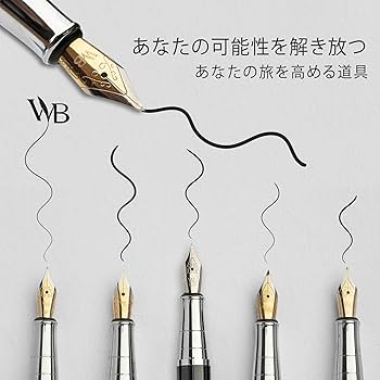 Amazon | 万年筆 ギフトセット インクボトル付き インクカートリッジ6