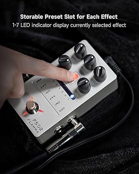 Amazon.com: FLAMMA FS02 Reverb Pedal Stereo Guitar Effects with 7