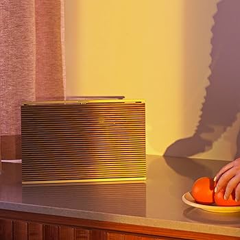 Amazon.com: Bang & Olufsen Beosound Level Portable Wi-Fi Multiroom