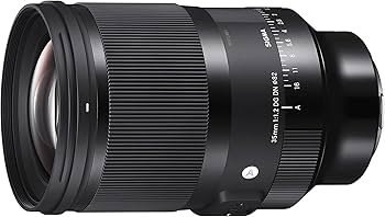 Amazon.com : Sigma 35mm F1.2 Art DG DN Lens for Sony E : Electronics