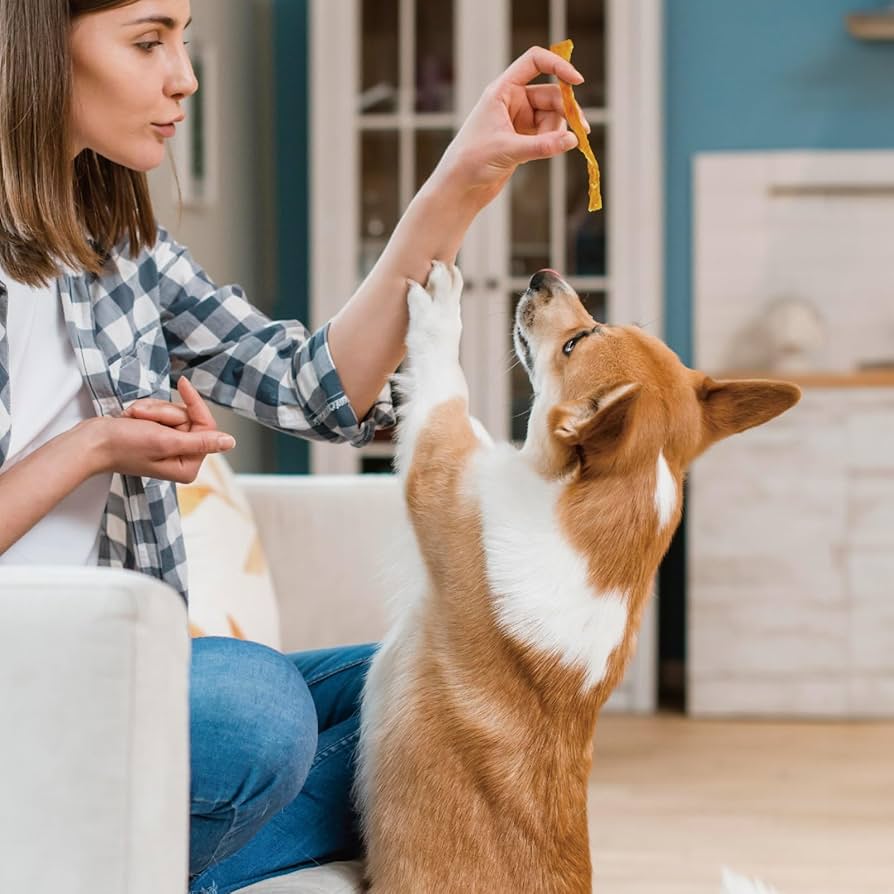 Amazon.co.jp: ドギーマン 無添加良品 アキレススティック100g（鳥すじ