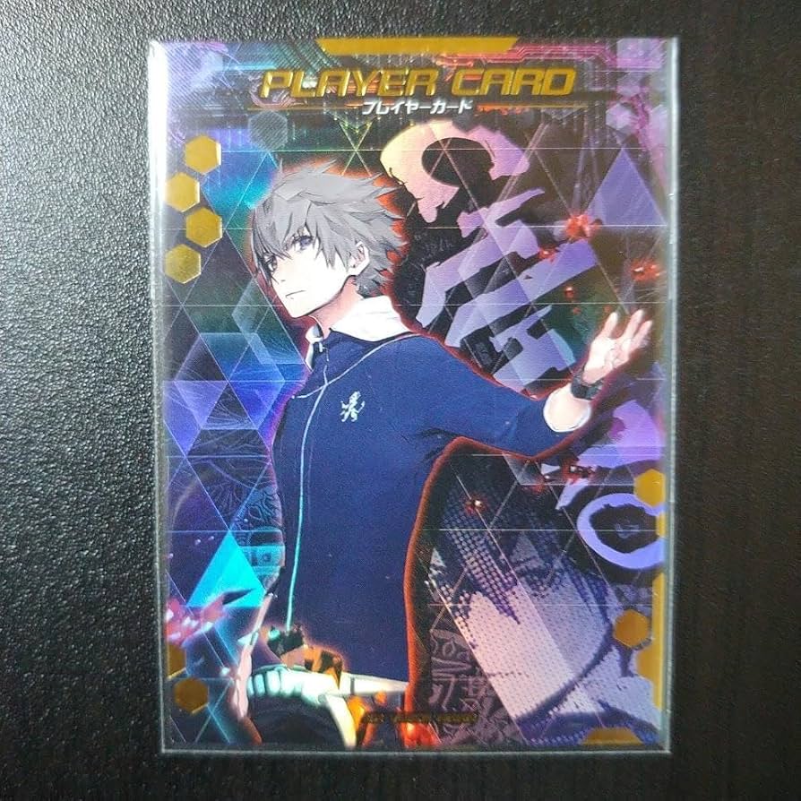 ロードオブヴァーミリオン プレイヤーカード (神名 千尋＆白木 優羽莉