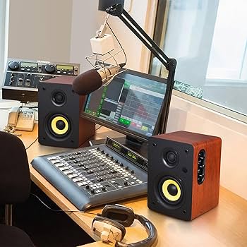 Amazon.com: Sanyun SW206 4” HiFi Bookshelf Speakers with Studio