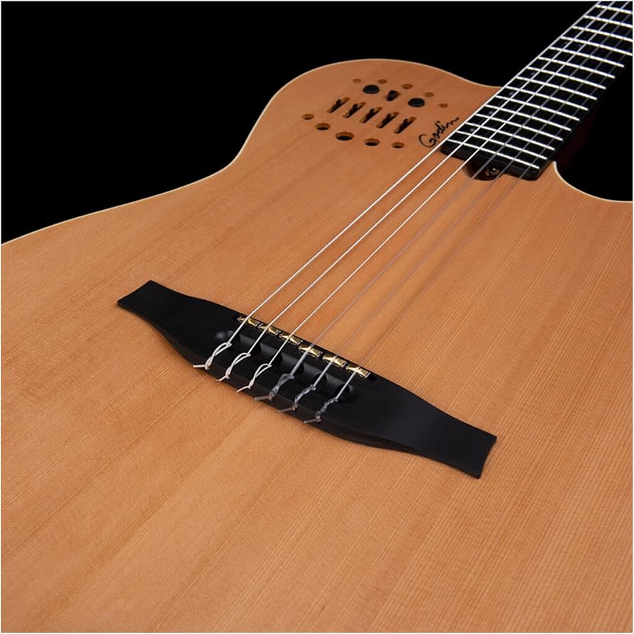 Amazon.com: Godin ACS-SA Slim - Natural Semi-Gloss : Musical