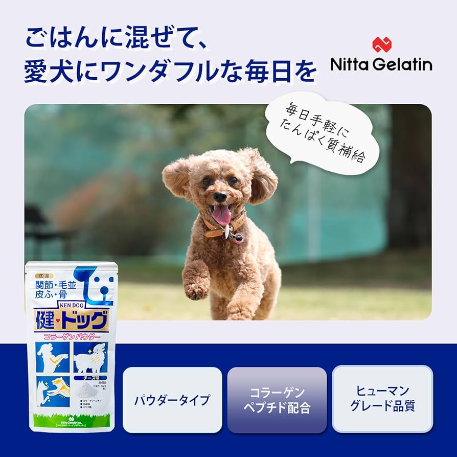 Amazon.co.jp: 新田ゼラチン 健・ドッグ 犬用サプリメント (チーズ風味