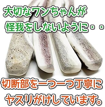 Amazon | 鹿角さん 鹿の角 犬 用 おもちゃ 小型犬用 四つ割り 1本