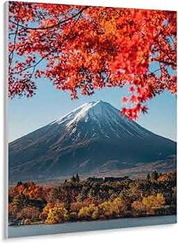 71hXnR8vSkL._AC_UF350,