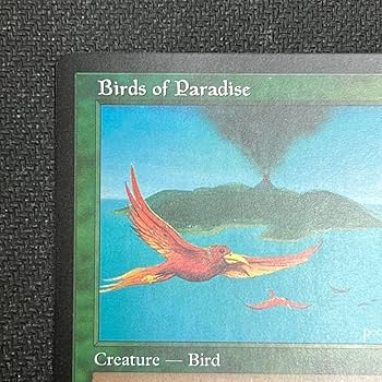 鳥の乙女 サインド アーティストプルーフ 英語版 MTG 鳥の乙女