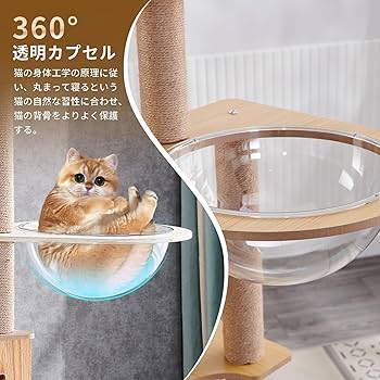Amazon | CozyMeow キャットタワー ハンモック 木製 スリムデザイン