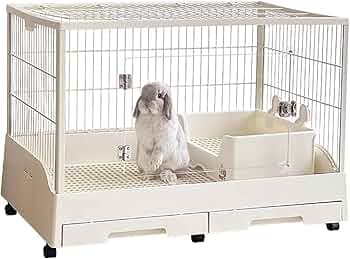 71i-UQCNh6L._AC_UF350,