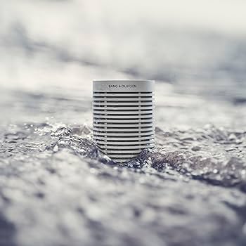 Amazon.com: Bang & Olufsen Beosound Explore - Wireless Portable