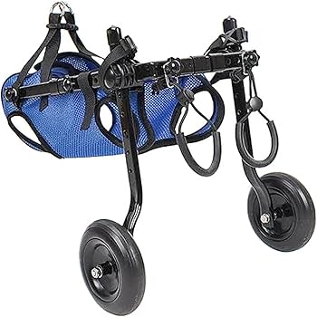 Amazon | 犬用車椅子 ミニチュアダックス専用 ドッグウォーカー 犬用