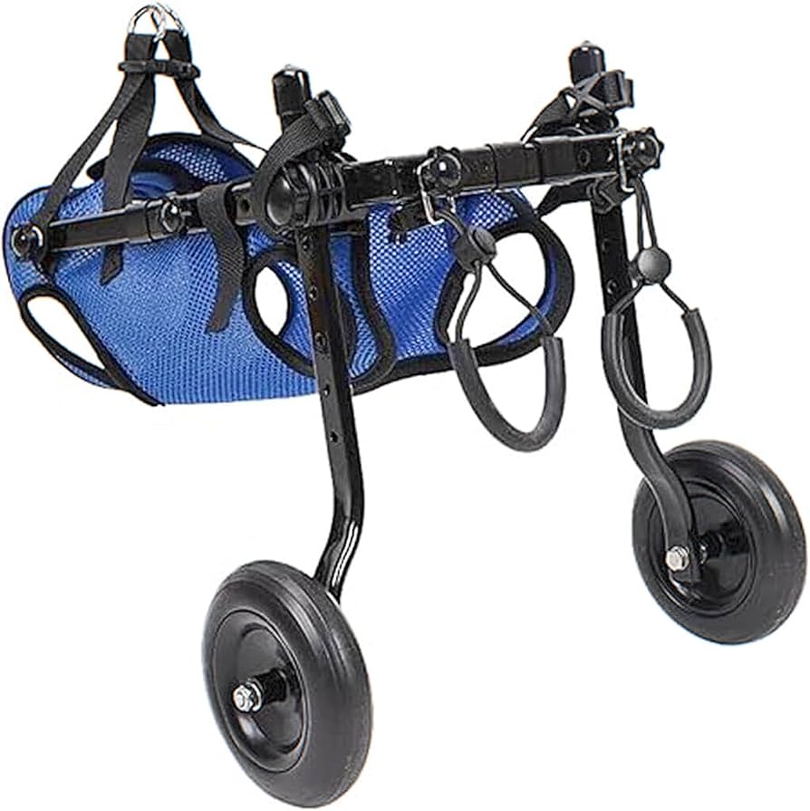 Amazon | 犬用車椅子 ミニチュアダックス専用 ドッグウォーカー 犬用