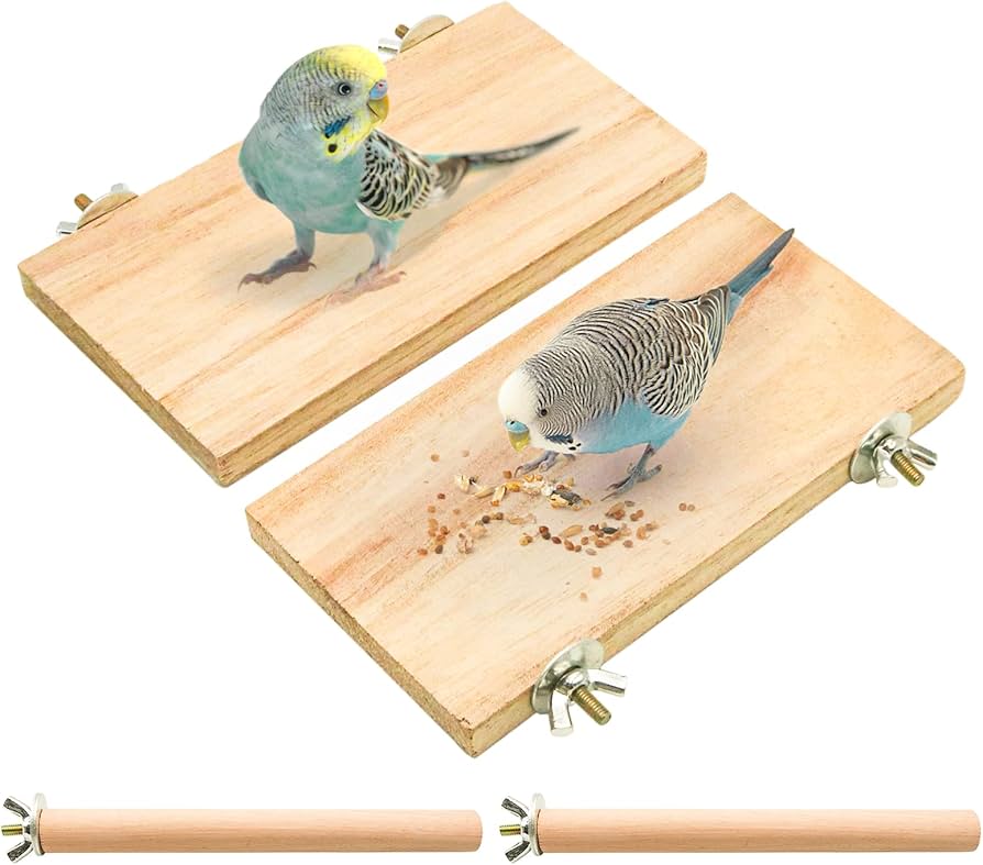 オウム&インコスタンド&止まり木{コメント用} 71hDiqW4j-L._AC_UF350,