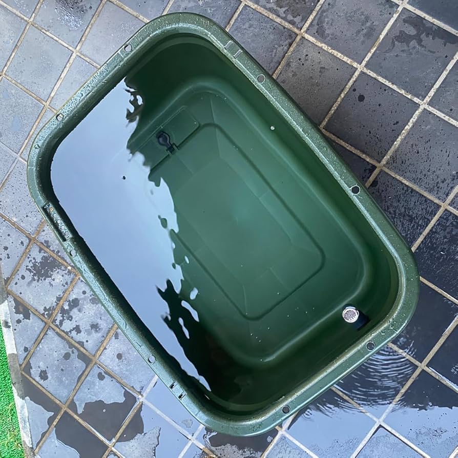 Amazon | 五色アクア メダカ飼育容器 75リットル 深緑（ダークグリーン