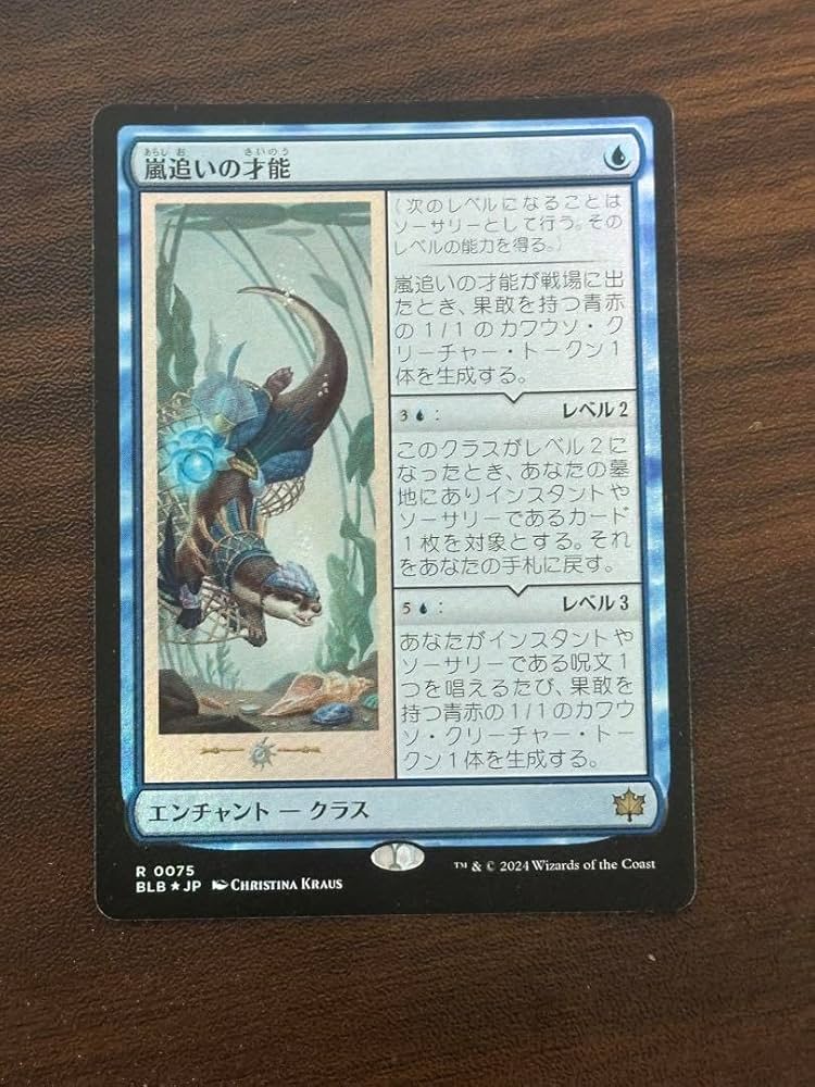 MTG 嵐追いの才能(英語版) 4枚 MTG 嵐追いの才能 英語版 4枚セット MTG