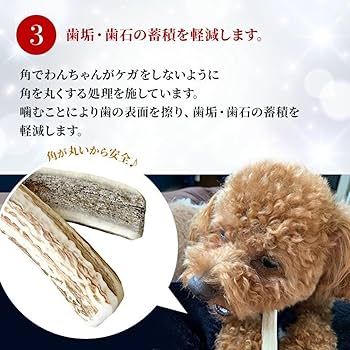 ぶち 鹿の角 (特大～大サイズ)犬用おもちゃ ランダム 2kg 8本 ぶち様