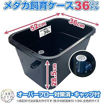 Amazon | 五色アクア メダカ飼育容器 36リットル 黒 オーバーフロー
