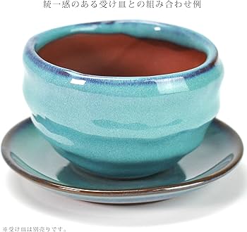Amazon.co.jp: 盆栽妙 植木鉢 陶器鉢 盆栽鉢 山野草鉢 3号 トルコ