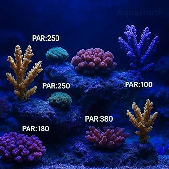 Amazon | AH-Reef PAR メーター – PPFD 測定・UVA (w/m²) 計測対応